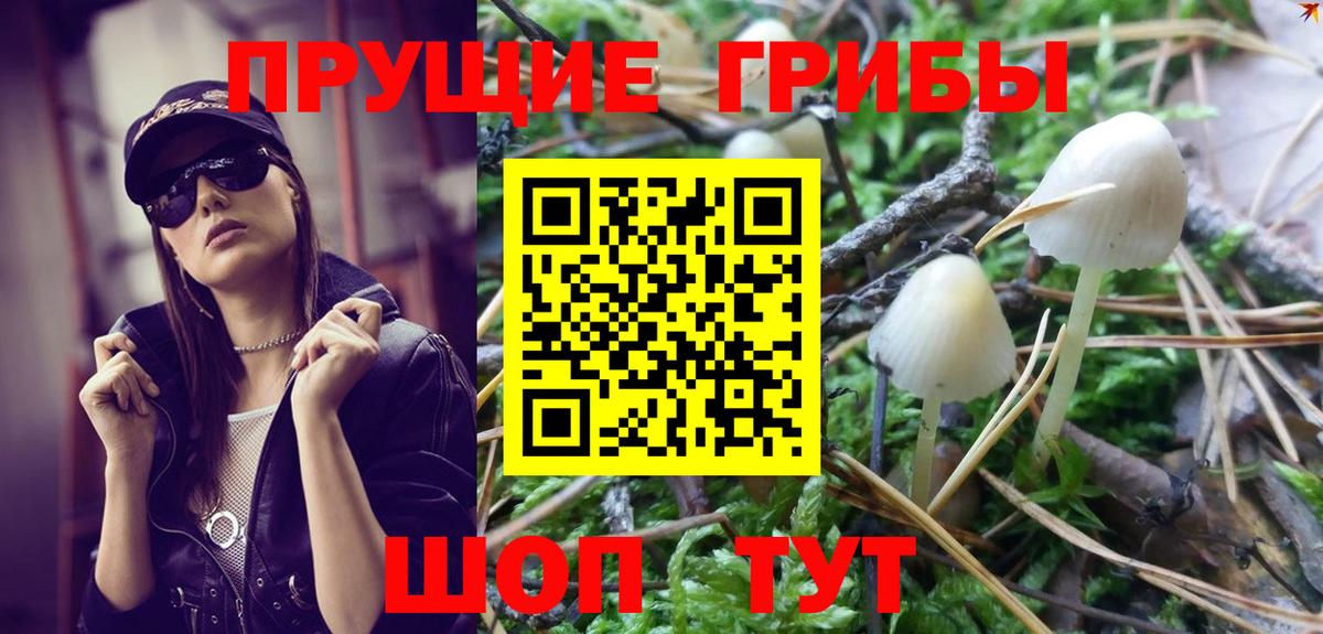 Псилоцибиновые грибы Psilocybine cubensis  Галлюциногенные грибы Psilocybe  Нурлат  Вход с VPN 